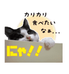 モノとシューのスタンプ（個別スタンプ：18）