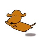 ダックス犬・タロ2（個別スタンプ：1）