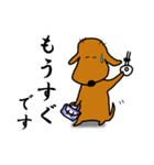 ダックス犬・タロ2（個別スタンプ：6）