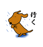 ダックス犬・タロ2（個別スタンプ：21）