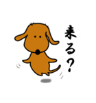 ダックス犬・タロ2（個別スタンプ：22）