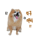 Hun Gui's Life（個別スタンプ：7）
