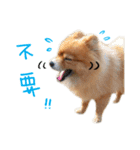Hun Gui's Life（個別スタンプ：8）