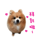 Hun Gui's Life（個別スタンプ：10）