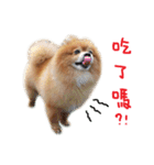 Hun Gui's Life（個別スタンプ：12）