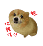 Hun Gui's Life（個別スタンプ：15）