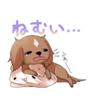 犬のチョコくん（個別スタンプ：6）