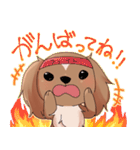 犬のチョコくん（個別スタンプ：8）