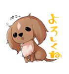 犬のチョコくん（個別スタンプ：9）