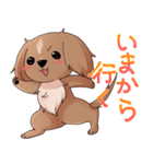 犬のチョコくん（個別スタンプ：13）