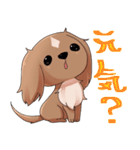 犬のチョコくん（個別スタンプ：19）