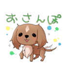 犬のチョコくん（個別スタンプ：30）