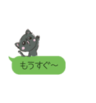 ふきだしにゃんこず（個別スタンプ：12）