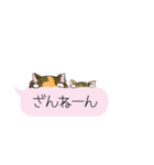 ふきだしにゃんこず（個別スタンプ：17）