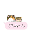 ふきだしにゃんこず（個別スタンプ：40）