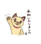 イケワン！柴犬カットのヨーキー vol.3（個別スタンプ：15）