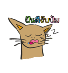 OH！ cat Indy（個別スタンプ：1）