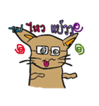 OH！ cat Indy（個別スタンプ：5）
