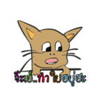 OH！ cat Indy（個別スタンプ：7）