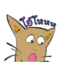 OH！ cat Indy（個別スタンプ：8）