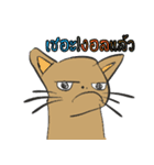 OH！ cat Indy（個別スタンプ：9）
