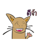 OH！ cat Indy（個別スタンプ：11）