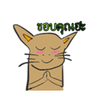 OH！ cat Indy（個別スタンプ：15）