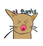 OH！ cat Indy（個別スタンプ：16）