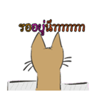 OH！ cat Indy（個別スタンプ：19）