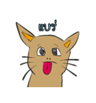 OH！ cat Indy（個別スタンプ：20）