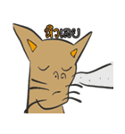 OH！ cat Indy（個別スタンプ：21）