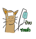 OH！ cat Indy（個別スタンプ：29）