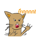 OH！ cat Indy（個別スタンプ：30）