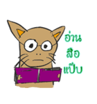 OH！ cat Indy（個別スタンプ：36）