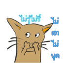 OH！ cat Indy（個別スタンプ：38）