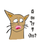 OH！ cat Indy（個別スタンプ：39）