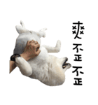 Japanese Spitz - Dota＆Niuniu's life（個別スタンプ：21）