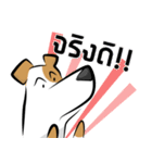 "Bam and Boo" the Duo Dog（個別スタンプ：28）