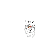 sige（個別スタンプ：3）