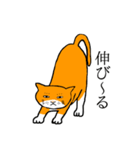 目つきの悪い猫、おハゲちゃん（個別スタンプ：2）