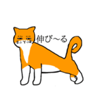 目つきの悪い猫、おハゲちゃん（個別スタンプ：3）