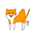 目つきの悪い猫、おハゲちゃん（個別スタンプ：4）
