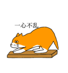 目つきの悪い猫、おハゲちゃん（個別スタンプ：5）