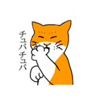目つきの悪い猫、おハゲちゃん（個別スタンプ：7）