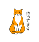 目つきの悪い猫、おハゲちゃん（個別スタンプ：10）