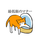 目つきの悪い猫、おハゲちゃん（個別スタンプ：13）