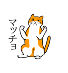 目つきの悪い猫、おハゲちゃん（個別スタンプ：17）