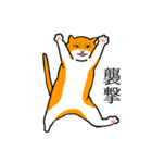 目つきの悪い猫、おハゲちゃん（個別スタンプ：19）