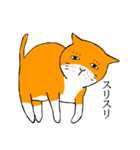 目つきの悪い猫、おハゲちゃん（個別スタンプ：21）