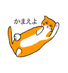 目つきの悪い猫、おハゲちゃん（個別スタンプ：23）